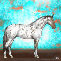 Horse Color:White Spotted Liver Red Dun Appaloosa Brindle 