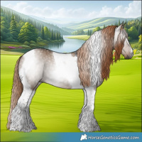 Horse Color:Gray Liver Red Dun Tobiano 