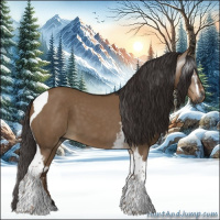 Horse Color:Gray White Spotted Liver Red Dun Tobiano 