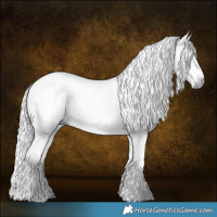 Horse Color:Gray Grullo Tobiano Frame Rabicano 