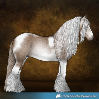 Horse Color:Gray Liver Red Dun Tobiano Frame 