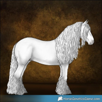 Horse Color:Gray Gold Champagne Dun Frame 