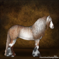 Horse Color:Gray Liver Red Dun Sabino Rabicano Brindle 
