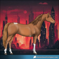 Horse Color:Chestnut Tobiano
