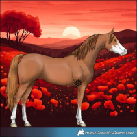 Horse Color:Chestnut Sabino