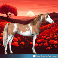 Horse Color:Chestnut Sabino Splash 
