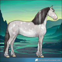 Horse Color:Platinum White Spotted Classic Champagne Dun 