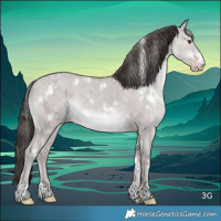 Horse Color:Platinum White Spotted Classic Champagne Dun