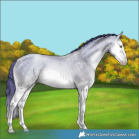 Horse Color:Smoky Blue Onyx Pearl Sabino Splash Rabicano Brindle