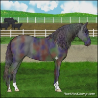 Horse Color:Nacre Black 