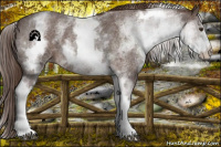 Horse Color:White Spotted Liver Red Roan 