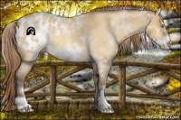 Horse Color:White Spotted Amber Cream Champagne Roan Dun Frame Appaloosa Rabicano 