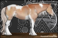 Horse Color:Silver Bay Sabino Tobiano