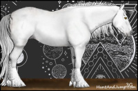 Horse Color:Gray Brown Sabino Frame Rabicano 