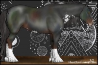 Horse Color:Liver Chestnut Sabino 