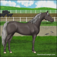 Horse Color:Platinum Liver Chestnut 