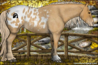 Horse Color:Palomino Roan Appaloosa Rabicano 