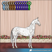 Horse Color:Brown Roan Dun Tobiano Appaloosa Brindle 