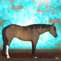 Horse Color:Buckskin Dun Brindle 