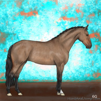 Horse Color:Bay Dun Rabicano Brindle 