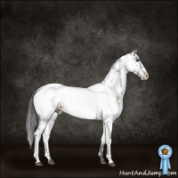 Horse Color:Brown Sabino Appaloosa