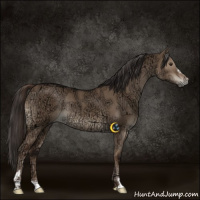 Horse Color:Liver Red Dun Ice Sabino Rabicano 