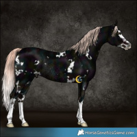 Horse Color:White Spotted Midnight Liver Chestnut Ice Mushroom Splash Rabicano 