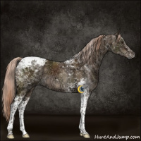 Horse Color:Liver Red Dun Ice Tobiano 