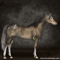 Horse Color:Gray White Spotted Liver Red Dun Ice 