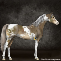 Horse Color:Chocolate Palomino Sabino Tobiano