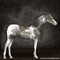 Horse Color:Liver Red Dun Ice Sabino Tobiano 