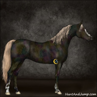Horse Color:Midnight Chocolate Palomino Ice Dun Sabino