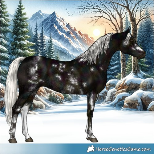 Horse Color:White Spotted Midnight Liver Chestnut Ice Mushroom 
