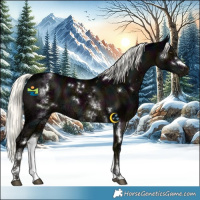 Horse Color:White Spotted Midnight Liver Chestnut Ice Mushroom