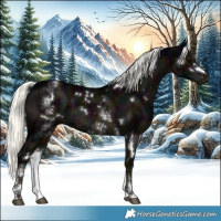 Horse Color:White Spotted Midnight Liver Chestnut Ice Mushroom 