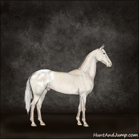 Horse Color:Silver Smoky Creme Dun Appaloosa Brindle 
