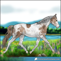 Horse Color:Liver Red Dun Sabino Tobiano 