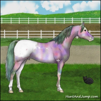 Horse Color:Nacre Watercolor Buckskin Onyx Varnish Rabicano 