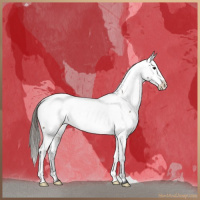 Horse Color:Brown Dun Frame Appaloosa Brindle 