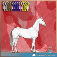 Horse Color:Liver Red Dun Near Leopard Brindle 
