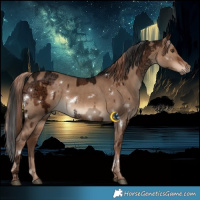Horse Color:White Spotted Liver Chestnut Ice  and White Spotted Liver Red Dun 