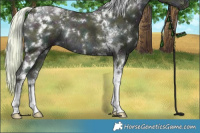 Horse Color:White Spotted Midnight Cremello Ice Tobiano Rabicano 