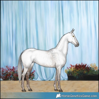 Horse Color:Gray Liver Red Dun Near Fewspot 