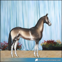 Horse Color:White Spotted Brown Onyx 
