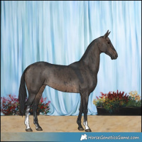 Horse Color:Brown Dun Sabino Brindle