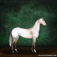Horse Color:Gray Brown Roan Pearl Dun Sabino Appaloosa 