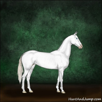 Horse Color:Gray Chocolate Palomino Pearl Dun Appaloosa 