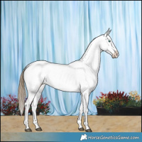 Horse Color:Smoky Grullo Pearl Sabino Appaloosa Brindle 