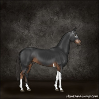 Horse Color:Gray Liver Chestnut Tobiano 