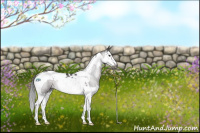Horse Color:Gray Platinum Brown Dun Splash Tobiano 